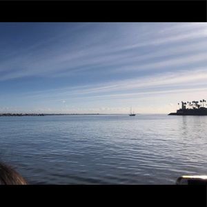 Meet your Posher, Bella